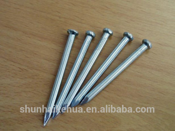 20mm Galvanized Fluted Shank Concrete Nail