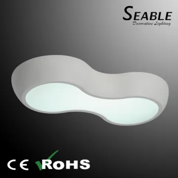Surface Mounted Ceiling Light Modern LED Ceiling Lamp