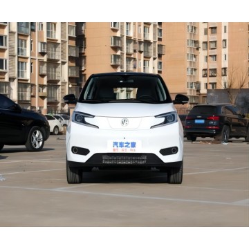 EV small electric car 2023 Recharge Mileage 408 KM for sale