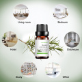 Pure Natural Rosemary Essential Oil For Hair Growth
