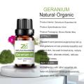 روغن اسانس اسانس Geranium