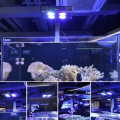 WiFi Aquarium LED Cahaya air masin terumbu karang laut