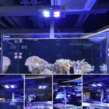 WiFi Aquarium LED Light Salzwasser Marine Korallenriff