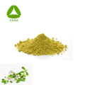 Organische 5% Bacoside Bacopa Monnieri Pulverextrakt