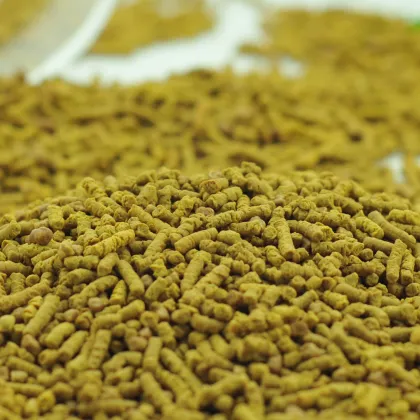 Bulk Tartary Buckwheat Herbal Tea Blends for Health Care