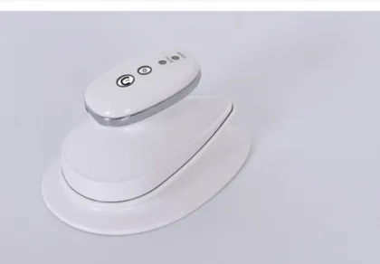 High-End Facial Care Devices for Women