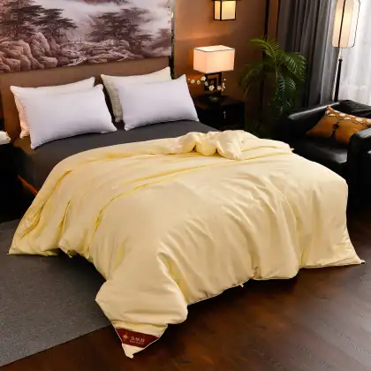 Luxurious Winter Silk Quilt
