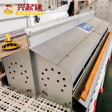 High Efficiency Laying Hen Nest Box with Automatic Egg Collection System