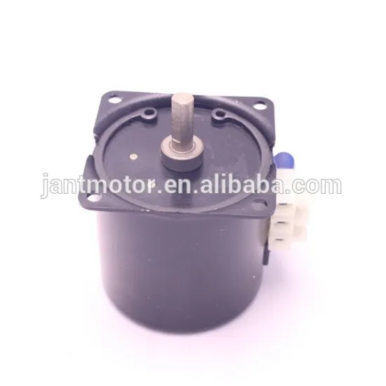 Reversible 220v 120v AC Synchronous Motor