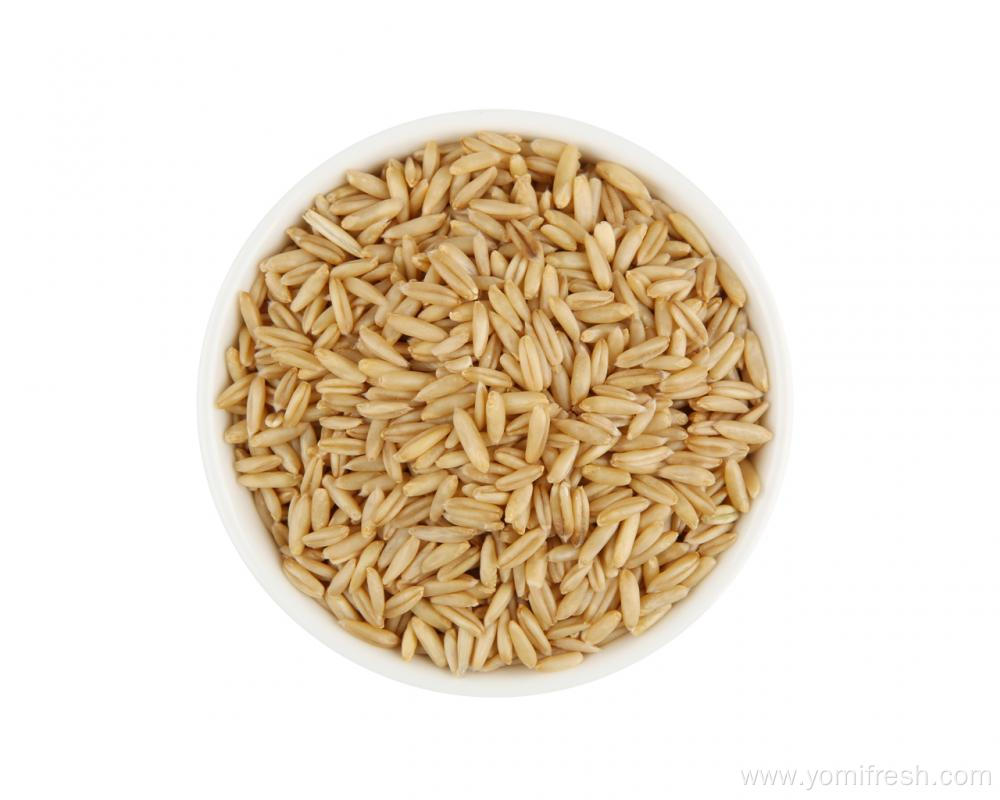 Oat Wheat Rice