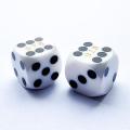 BESCON DICE Professional Precision Dice Round Corner 9/16 &quot;（14.3mm）ランダムなシリアル番号、精密カットダイス14.3mm