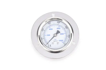 Oil-filled Seismic Pressure Gauge