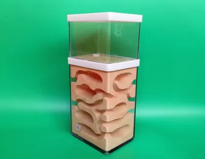 Ant Farm Tank: Educational Formicarium Ant House Nest