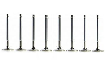 Intake Valve Repair Kit