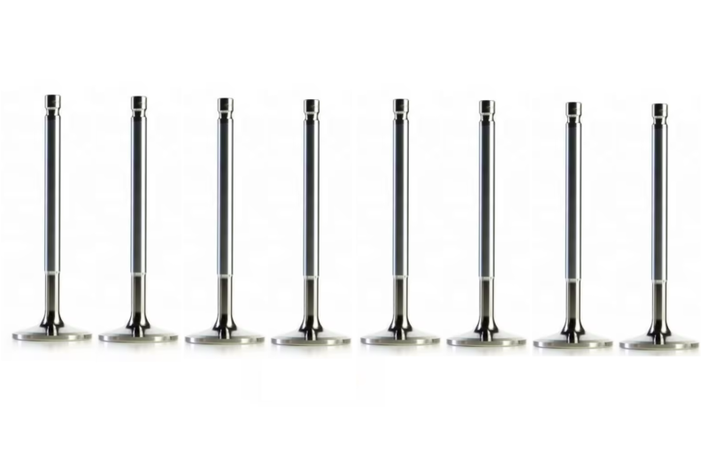 Intake Valve Repair Kit