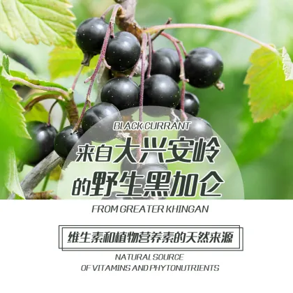 Dried Black Currant - No added cane sugar