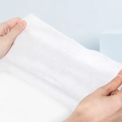 Household Protective Antibacterial Disinfectant Wipes