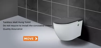 Wall Mounted European Water Closet Toilet