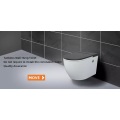 Wall Mounted European Water Closet Toilet