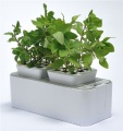 Εσωτερικό Mocle Flower Pot Grow System