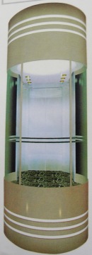 Glass Elevator Design for Home (TGJ-550-1.75)