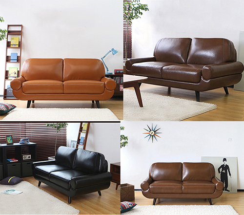 Leather Loveseat Sofa