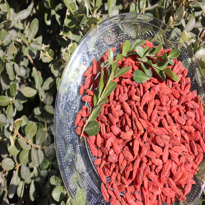 Φυσικό Χαμηλή Τιμή Δωρεάν Δείγμα Goji Berry