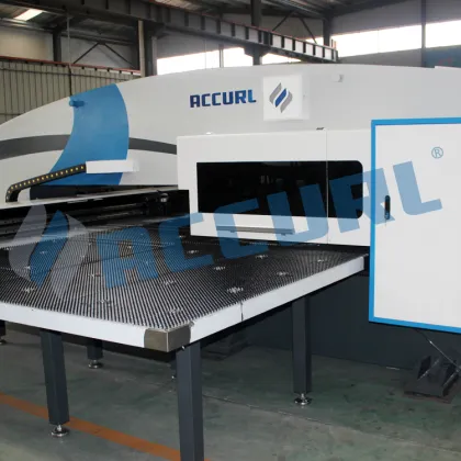 Accurl Pneumatic Punch Press Manual