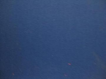 100%cotton and anti-static FR satin