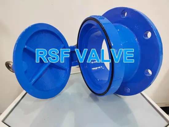 High Quality Ductile Iron Flap Valve