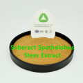 Suberect spatholobus stam extract poeder 10: 1