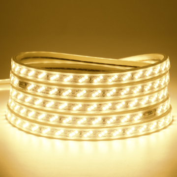 IP65 Waterdicht DC 12V/24V SMD 2835 LED -strip voor commercieel gebouw Outdoor Decoratie