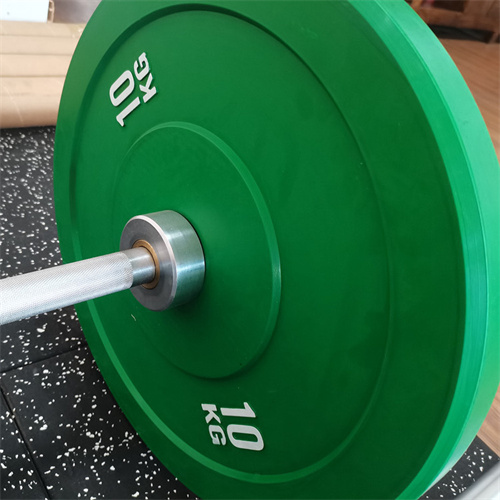 Gym Equipment Free Weights Fitness Barbell Bar