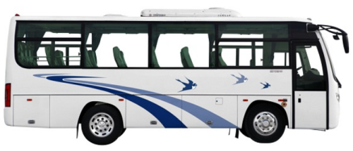 Dongfeng LHD / RHD Electric Diesel Fue Bus