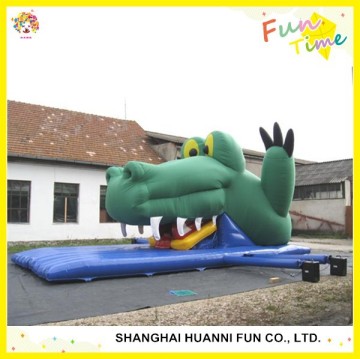 The Newest Giant Inflatable Water Slide for Adult and Kids