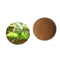Wholesale Tribulus Terrestris Extract