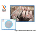 Calcium Formate (CAFO) 98.0% Min for Feed-grade