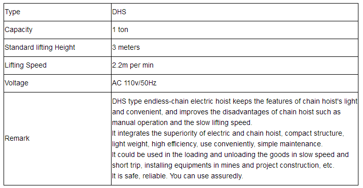 DHS chain electric hoist 