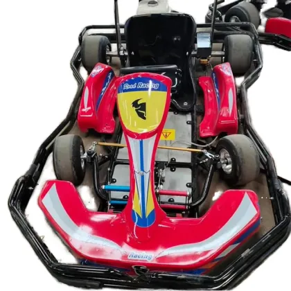 Adults Off-Road Racing Go Kart with Double Seats for Sale