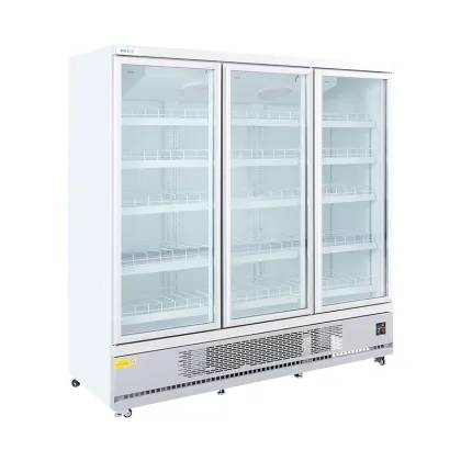 Vertical double glass door display cooler refrigerator