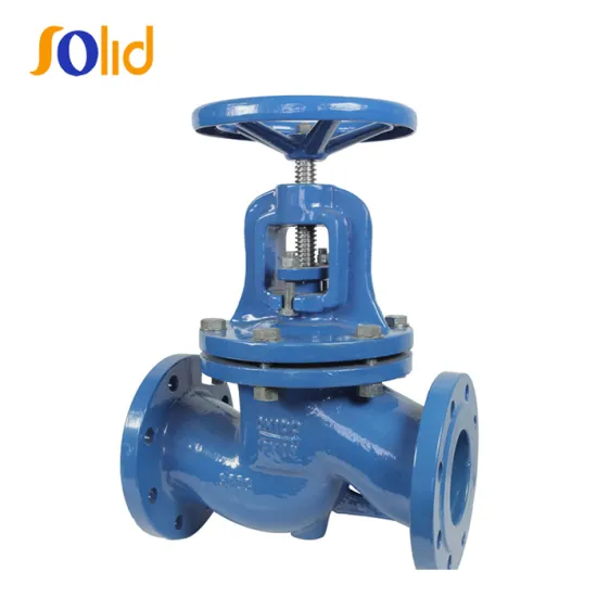 DIN3356 PN16 BS Standard Cast iron Globe Valve
