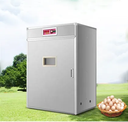 10000 Eggs Big Safe and Efficient Egg Incubator