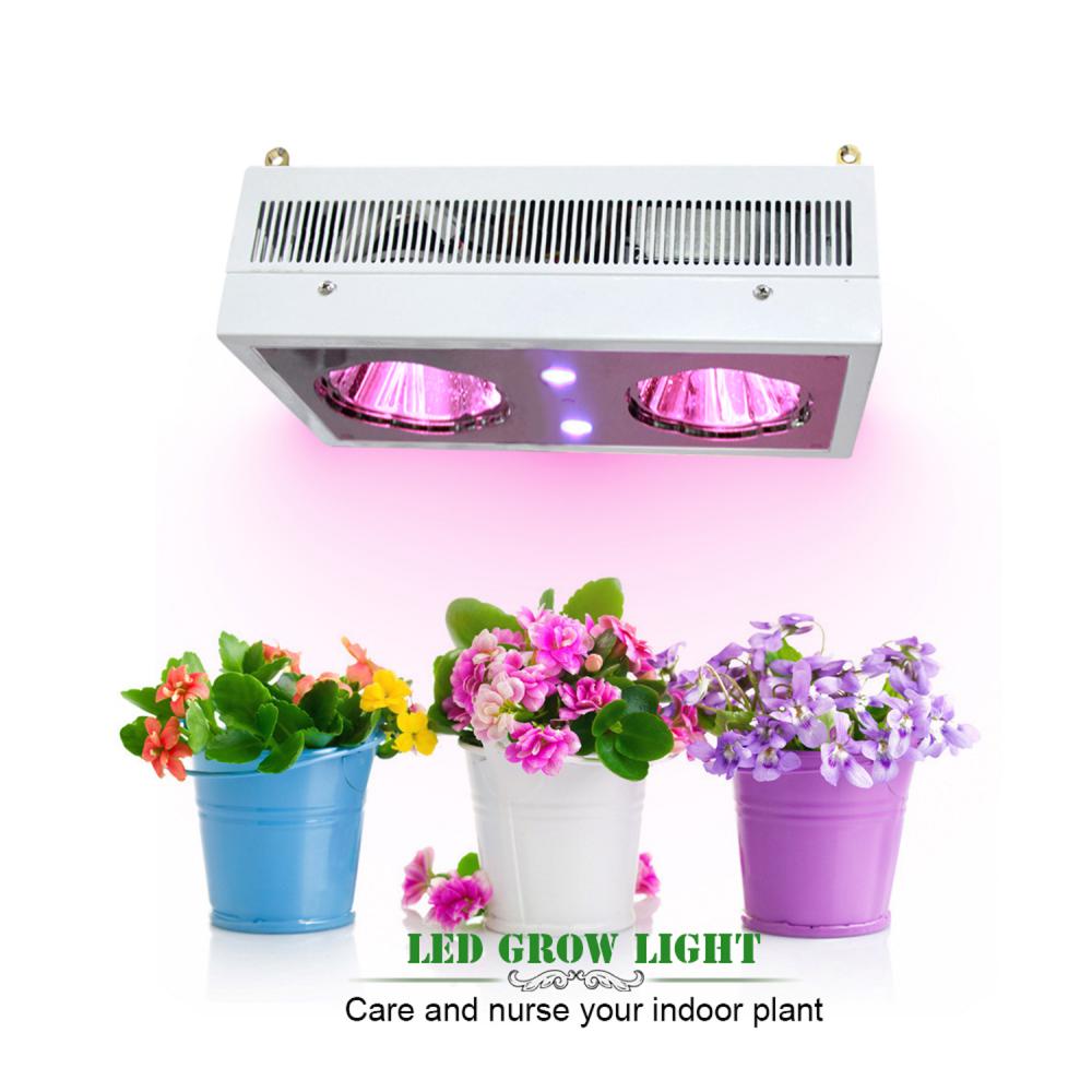 High lumen 300w led grow light