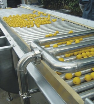 Fruit Sorter