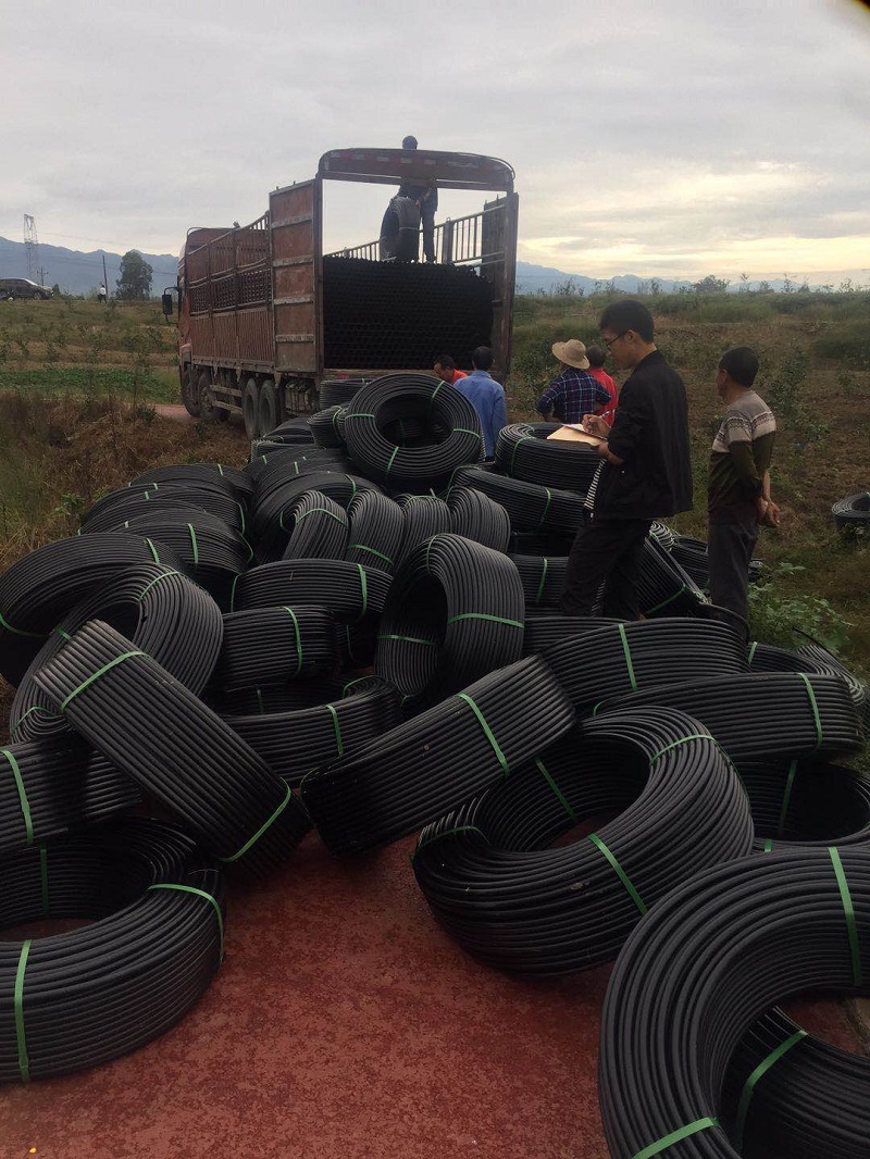 From "Irrigating the Land" to "Irrigating the Crops": Qingcheng Agriculture's Liangping Project Rewrites the Logic of Mountain Irrigation