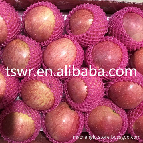 food grade fresh apple fruit qinguan apples red apples