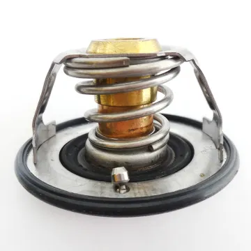 High-Quality Thermostat: Finding Models 3973834 and 5256423