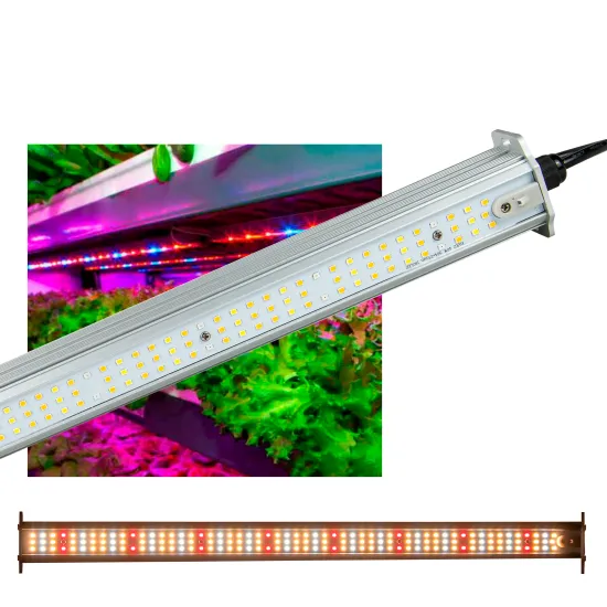 Dual Full Spectrum Hanging LED Grow Light Bar - Edkfarm LM301H