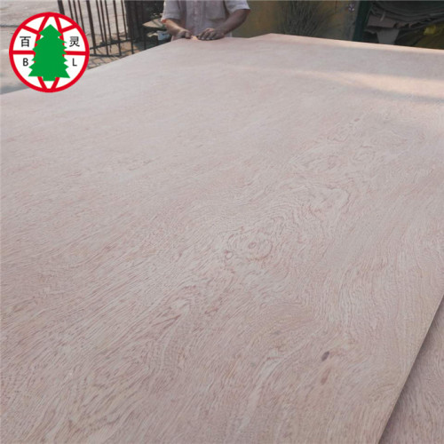 Madera contrachapada decorativa de la chapa de la nuez natural de 12 milímetros