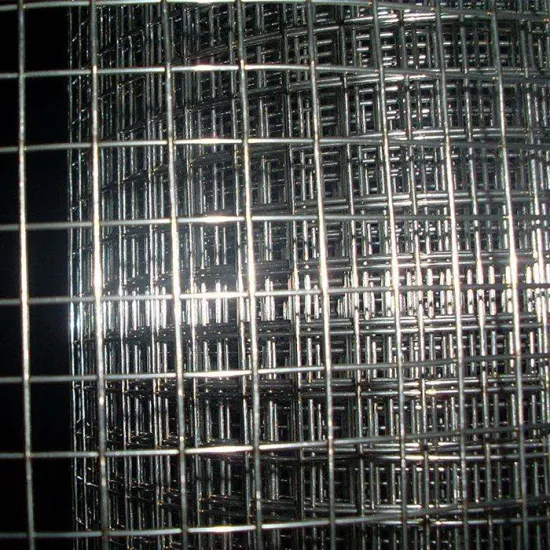 2" Aperture Galvanized Welded Wire Mesh